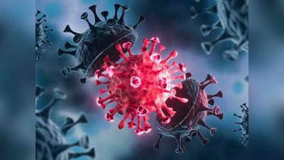 Coronavirus: मुंबईतील २८१ जणांच्या चाचण्यांमध्ये आढळला सौम्य स्वरूपातील डेल्टा