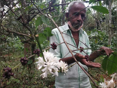 കാര്‍ബണ്‍ ന്യൂട്രല്‍: ഇതാണ് ഇന്ത്യ പഠിക്കുന്ന മീനങ്ങാടി മോഡല്‍