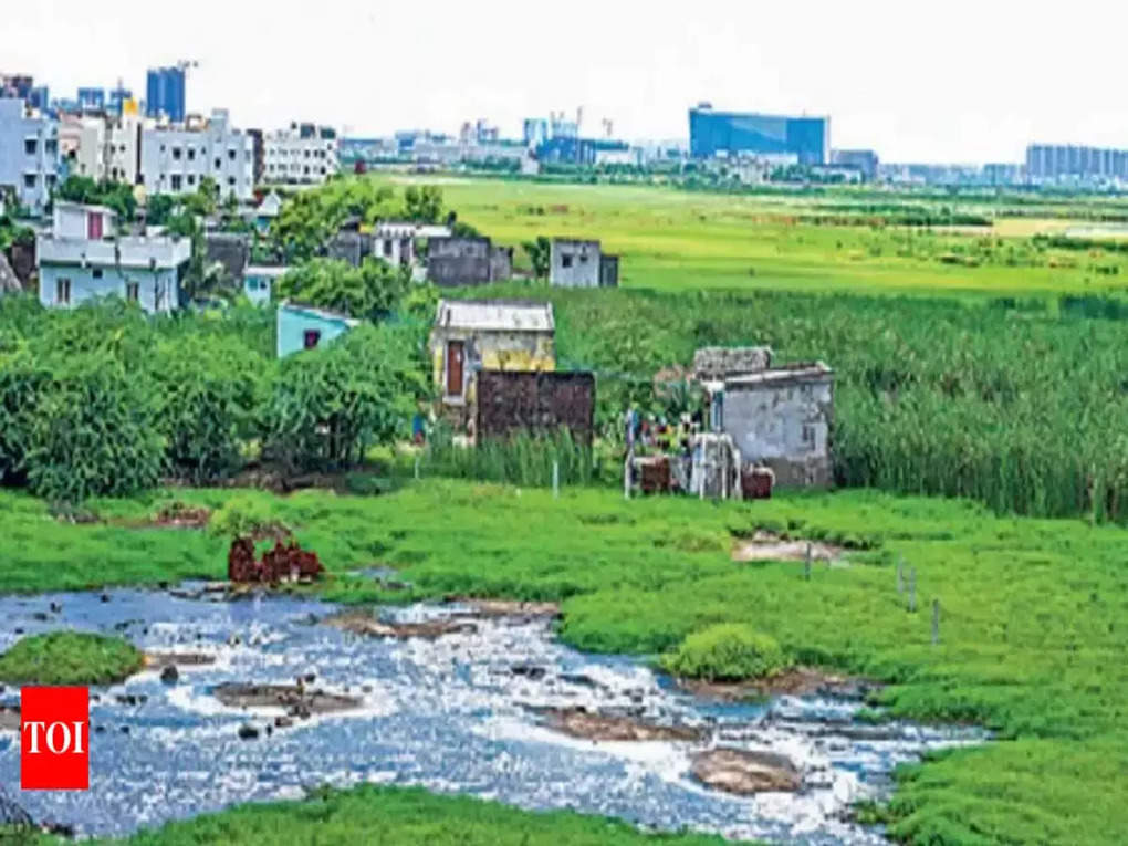 pallikkaranai