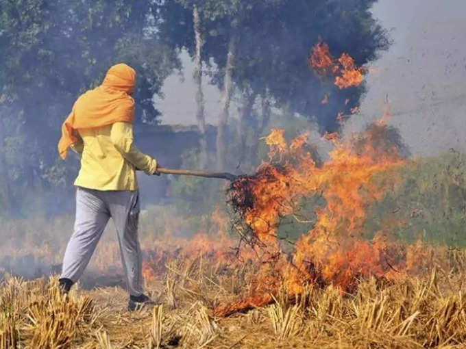 3 तरीकों से हो सकता है पराली का निपटान