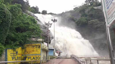 குற்றால அருவிகளில் பாயும் வெள்ளம்;           சுற்றுலாப்பயணிகள் குளிக்க அனுமதி?