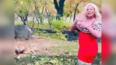 वीडियो: शेर के बाड़े में घुस गई महिला, करने लगी डांस, जंगल के राजा पर फेंके पैसे