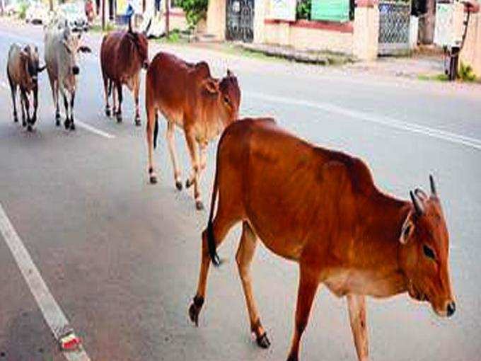 ರಕ್ಷಿಸಿದವರಿಗೇ ಧರ್ಮ ಸಂಕಟ..!