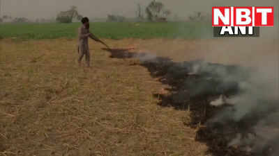 पराली नहीं जल रही सरकार के वादों की अर्थी खेतों में आग लगाते बोले पंजाब के क‍िसान