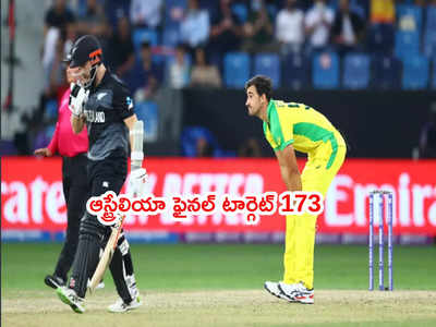 Kane Williamson కెప్టెన్ ఇన్నింగ్స్.. ఫైనల్లో ఆస్ట్రేలియా టార్గెట్ 173