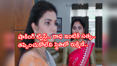 Devatha  నవంబర్ 15 ఎపిసోడ్: ‘రాధ నేను నీకోసమే వచ్చాను’ సత్య మాటలకు రుక్మిణి గుండెల్లో గుబులు