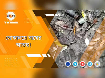 দূষণ বৃদ্ধিতে ভরসা এখন কাগজের ঠোঙাই