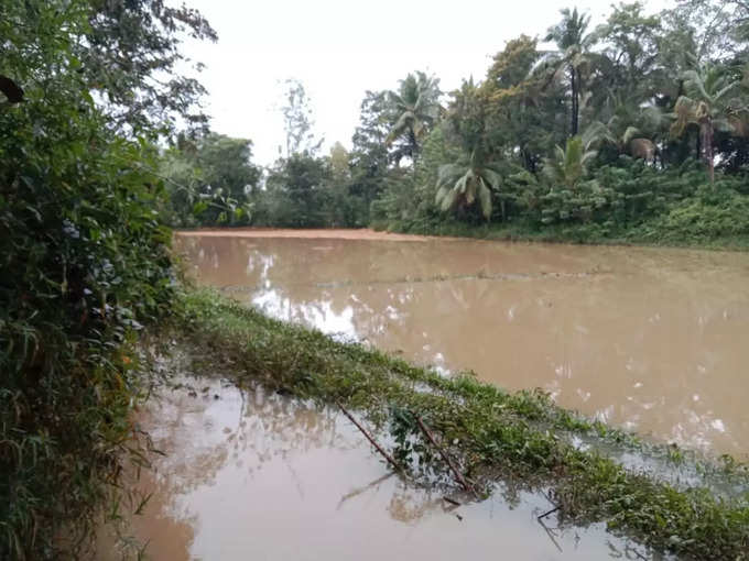 shivamogga rain