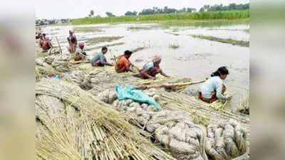 পাট নিয়ে মুখ্যমন্ত্রীর দ্বারস্থ কল মালিকরা