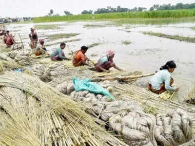 পাট নিয়ে মুখ্যমন্ত্রীর দ্বারস্থ কল মালিকরা