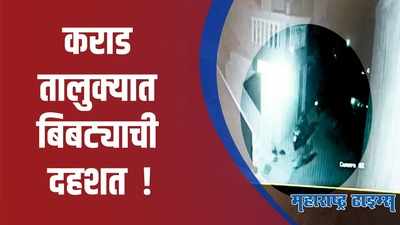 कराड तालुक्यात बिबट्याची दहशत; पशुपालकांमध्ये चिंतेचे वातावरण