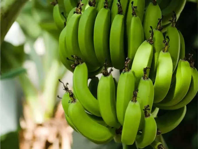 हिरवी केळी