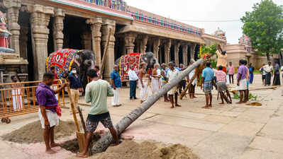 சொக்கப் பனை கொளுத்தும் விழா;                                              ஸ்ரீரங்கம் கோயில்.. முக்கிய தகவல்!