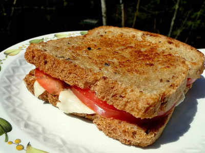 इन Sandwich Maker से सैंडविच के साथ फिश, चिकन और मीट भी करें ग्रिल, इस्तेमाल करना भी है आसान