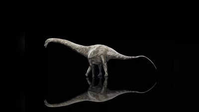 वैज्ञानिकों ने खोजा अब तक का सबसे बड़ा डायनासोर, तीन नहीं एक ही जीव की थीं विशालकाय हड्डियां