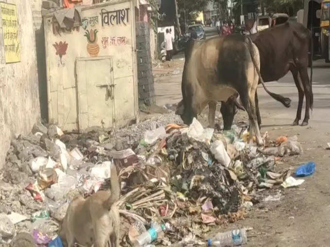 ​रायपुर में जगह-जगह कचरे का ढेर