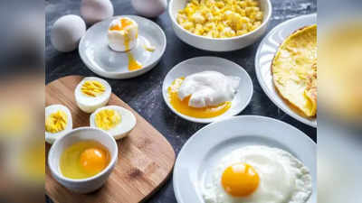 Egg Recipes For Breakfast: সকালে অফিস বেরোনোর তাড়া? নিমেষে বানিয়ে ফেলুন ডিমের এই পদগুলি...