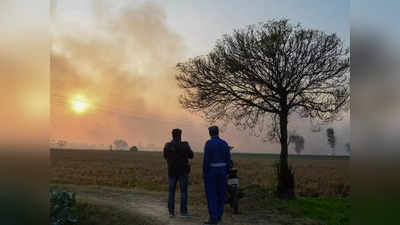 नासा का दावा, पंजाब-हरियाणा में 4 साल में सबसे ज्यादा जली पराली