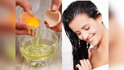 Hair Care Egg Benefits: बालों में अंडा लगाने का तरीका: पतले बालों को मोटा बनाना है तो इस विधि से लगाएं अंडा