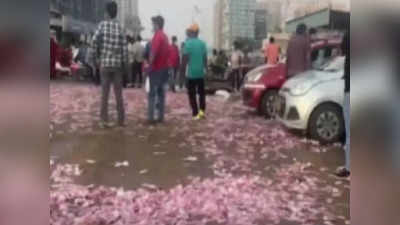 Video: वसईत पडला नोटांचा पाऊस; पैसे गोळा करण्यासाठी रस्त्यावर लोटली गर्दी