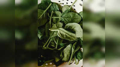 Spinach Benefits: শীতে নিজেকে সুরক্ষিত রাখতে ডায়েটে থাকুক পালং শাক