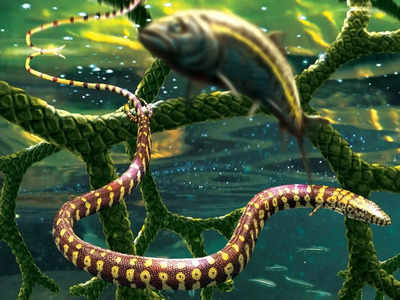 जिसे समझा चार पैरों वाला सांप, वह निकली 11 करोड़ साल पुरानी समुद्री छिपकली
