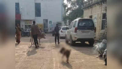 Ashoknagar Viral Video: नवजात के शव को मुंह में दबाए जिला अस्पताल में घूम रहा था कुत्ता, 25 दिन पहले भी दिखा था ऐसा ही वीभत्स नजारा