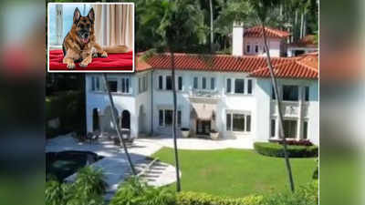 Richest dog: విల్లాను అమ్ముతున్న కుక్క... ధర రూ.238 కోట్లు.!