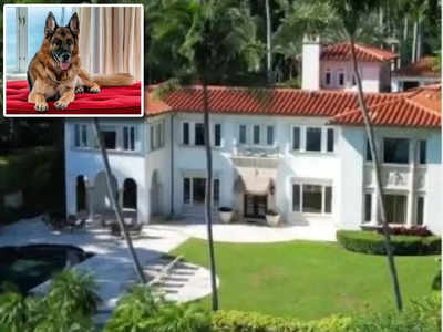 Richest dog: విల్లాను అమ్ముతున్న కుక్క... ధర రూ.238 కోట్లు.!