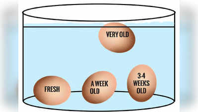 Fresh Egg  Test : நல்ல முட்டை, கெட்ட முட்டை  எப்படி  கண்டுபிடிப்பது? ஈஸியான 3 டெஸ்ட்!