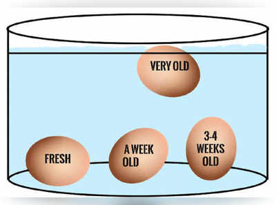 Fresh Egg  Test : நல்ல முட்டை, கெட்ட முட்டை  எப்படி  கண்டுபிடிப்பது? ஈஸியான 3 டெஸ்ட்!