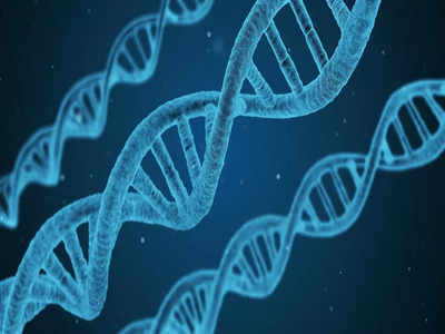 DNA Test: ডিএনএ টেস্ট কতটা সঠিক? জানুন