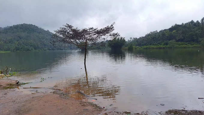 ​പാലത്തിന്‌വേണം അറ്റക്കുറ്റപണികളും സുരക്ഷയും