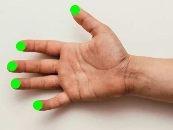 ఐదు వేళ్ల చివరలు (Finger tips):