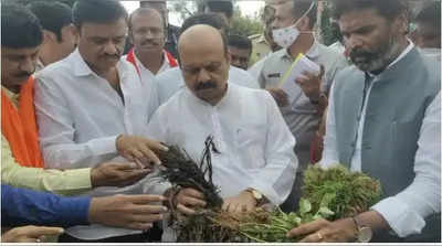 ಕೋಲಾರದಲ್ಲಿ ಸಿಎಂ ಬೊಮ್ಮಾಯಿ ಬೆಳೆ ಹಾನಿ ಪರಿಶೀಲನೆ: ಶೀಘ್ರವೇ ಪರಿಹಾರದ ಭರವಸೆ