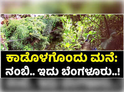 ಬೆಂಗಳೂರೆಂಬ ಕಾಂಕ್ರಿಟ್‌ ಕಾಡಲ್ಲೊಂದು ಹಸಿರ ಕಾನನ.. ಮಾಲಿನ್ಯ ದೂರಲ್ಲಿ ಕಾಡು ಬೆಳೆಸಿದ ನಿವೃತ್ತ ಎಂಜಿನಿಯರ್‌