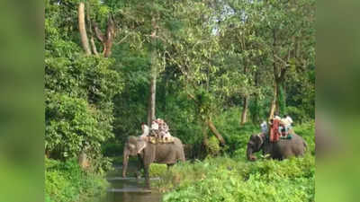 ডুয়ার্সে হাতি সাফারির পরিকল্পনা? জল ঢালতে পারে পর্যটন ব্যবসায়ীদের ক্ষোভ