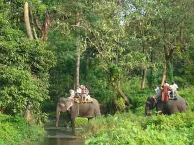 ডুয়ার্সে হাতি সাফারির পরিকল্পনা? জল ঢালতে পারে পর্যটন ব্যবসায়ীদের ক্ষোভ