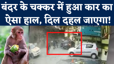 Shimla Car Accident Viral Video: बंदर के चक्कर में रेलिंग तोड़कर नीचे गिरी कार, CCTV में खौफनाक मंजर