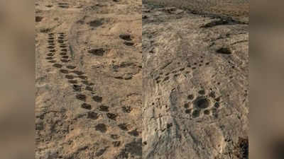 Al Jassasiya Rock Carvings: कतर के रेगिस्तान में पत्थरों पर उकेरे मिले 12 रहस्यमय प्रतीक, पुरातत्वविद भी हैरान
