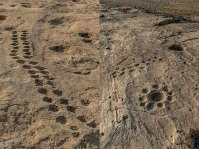 Al Jassasiya Rock Carvings: कतर के रेगिस्तान में पत्थरों पर उकेरे मिले 12 रहस्यमय प्रतीक, पुरातत्वविद भी हैरान