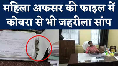 Snake In Women Officer File : महिला अधिकारी की फाइल में कोबरा से भी खतरनाक सांप, देखें वीडियो