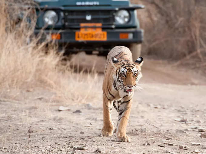 ​೧. ರಣಥಂಬೋರ್ ರಾಷ್ಟ್ರೀಯ ಉದ್ಯಾನ