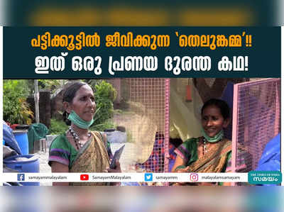 പട്ടിക്കൂട്ടിൽ ജീവിക്കുന്ന തെലുങ്കമ്മ!!ഇത് ഒരു പ്രണയ ദുരന്ത കഥ!