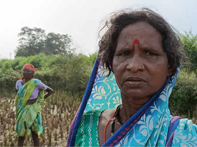 ७० वर्षांच्या आजीने हत्याराविना दिली वाघाशी झुंज; शेवटी वाघ पळाला