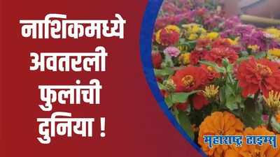 नाशिकचं फ्लॉवर पार्क ठरतंय पर्यटकांचे आकर्षण; 5 लाख फुलांची मैफिल