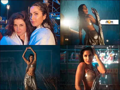 Katrina Kaif: লুটিয়ে ক্যাটরিনার রুপোলি শাড়ি...