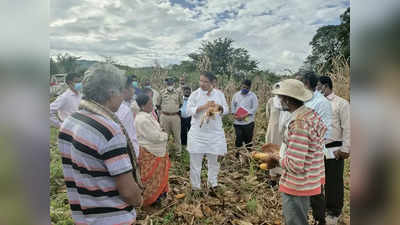 ಹಾಸನದಲ್ಲಿ 47,000 ಹೆ.ನಲ್ಲಿ ಬೆಳೆ ಹಾನಿ, ಪರಿಹಾರ ಹೆಚ್ಚಳಕ್ಕೆ ಕೇಂದ್ರದೊಂದಿಗೆ ಸಂಪರ್ಕ - ಆರ್‌. ಅಶೋಕ್‌