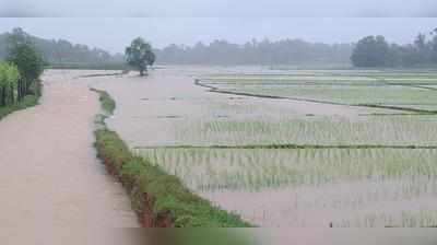 ಸುರಪುರ: ಅಕಾಲಿಕ ಮಳೆಗೆ ಅಪಾರ ನಷ್ಟ