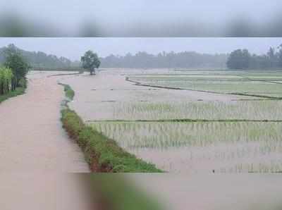 ಸುರಪುರ: ಅಕಾಲಿಕ ಮಳೆಗೆ ಅಪಾರ ನಷ್ಟ